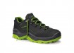 Sicherheitsschuh LOWA Renegade Work GTX green Lo S3S CI - 5610
